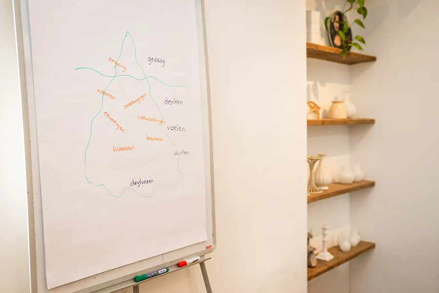 Personal coaching | NOBCO coach | Amsterdam, Weesp | Willeke Strien